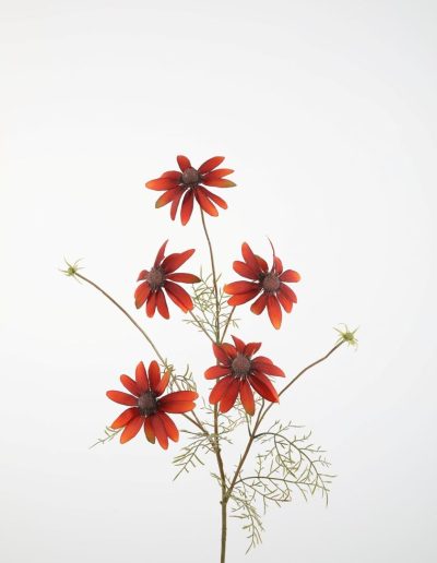 Bloemsierkunst Groeneveld | zijden bloemen