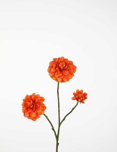 Bloemsierkunst Groeneveld | zijden bloemen