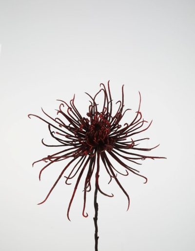 Bloemsierkunst Groeneveld | zijden bloemen