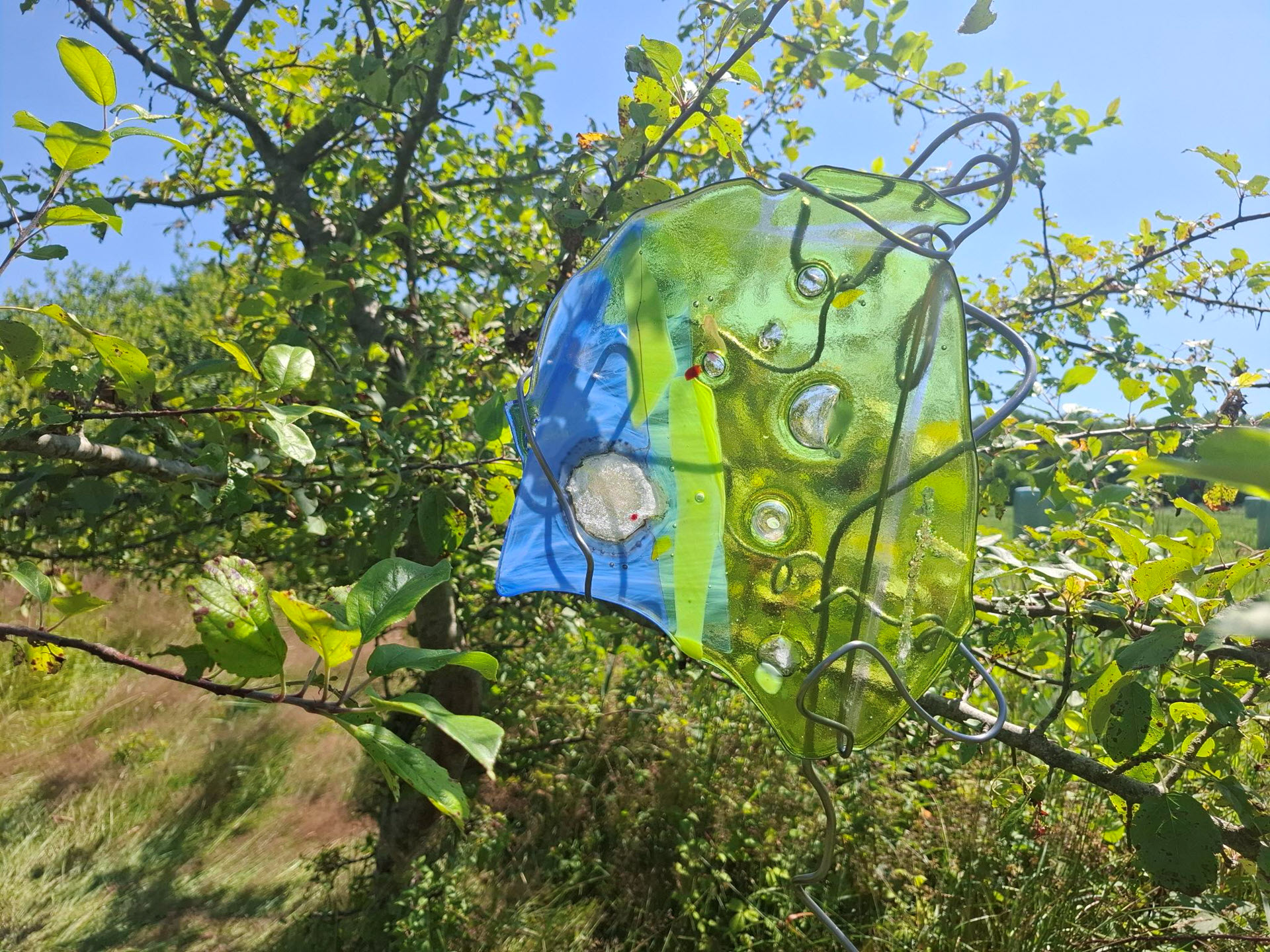 Hortus Botanicus Haren - plantenmarkt