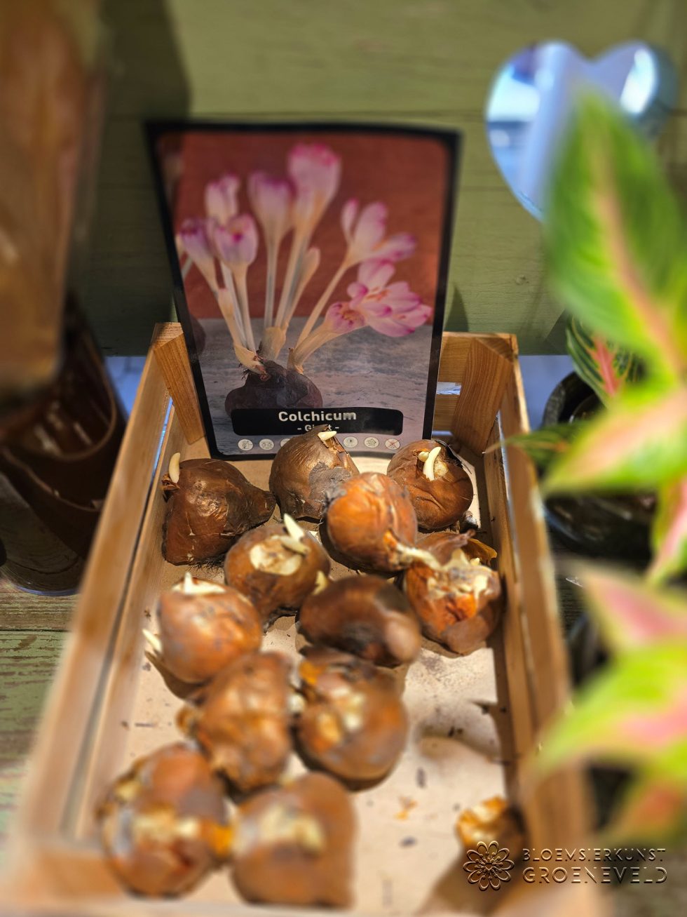 Herfst bij Bloemsierkunst Groeneveld - De bloemenwinkel van Haren - boeket bezorgen in de regio van Groningen