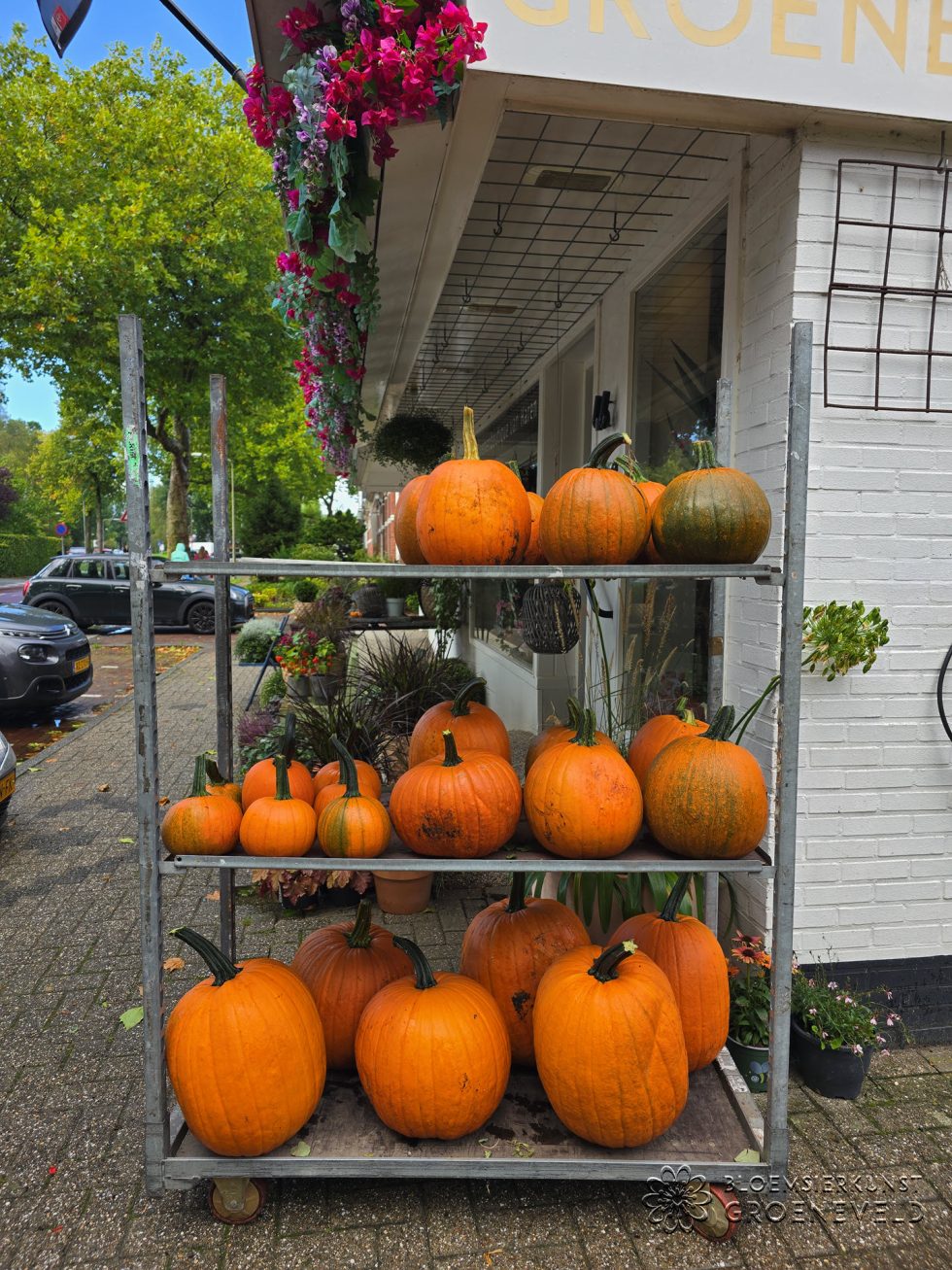 Pompoenen: sfeervolle herfstdecoratie met een knipoog naar Halloween