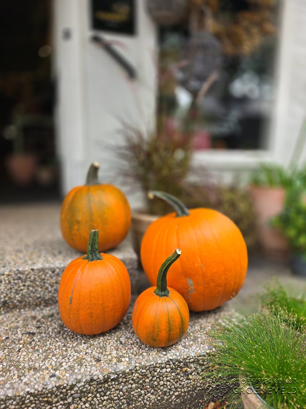 Pompoenen: sfeervolle herfstdecoratie met een knipoog naar Halloween